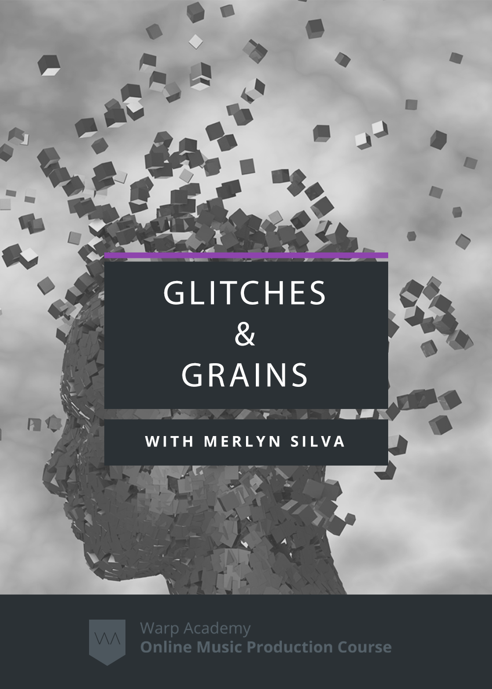 Glitches and Grains Product Page Image Glitches and Grains Product Page Image